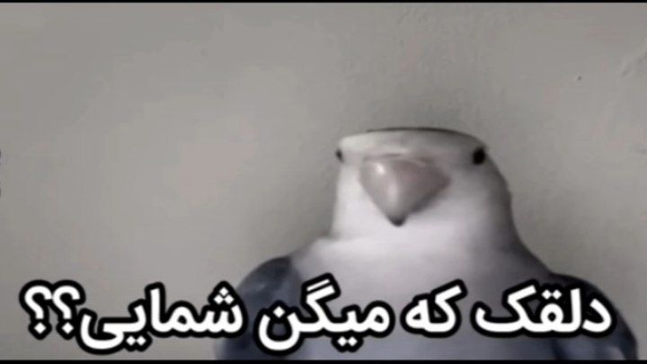 do.php?imgf=0fc026_26IMG-20260123-004538