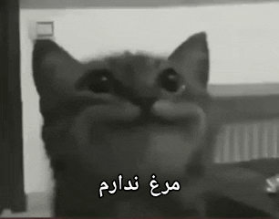 do.php?imgf=e1c001_26InShot-20260201-184