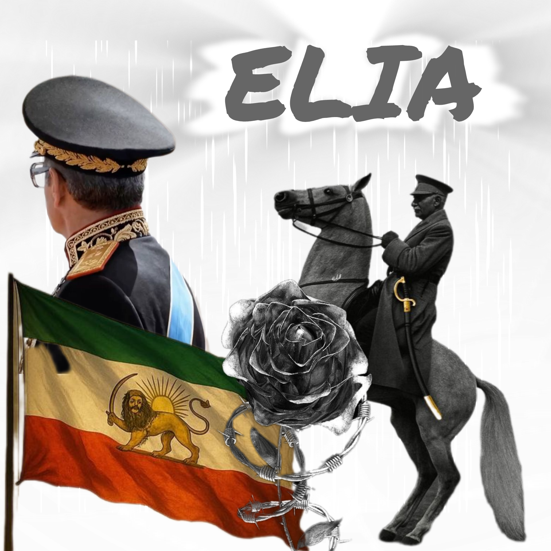 do.php?imgf=f25331_26InShot-20260131-225