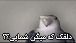 IMG_20260123_004538_7 ... .jpg