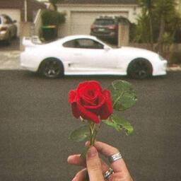 IMG_20260118_133438_1 ... .jpg