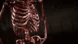 InShot_۲۰۲۵۰۸۱۸_۱۲۱۹۲ ... .gif