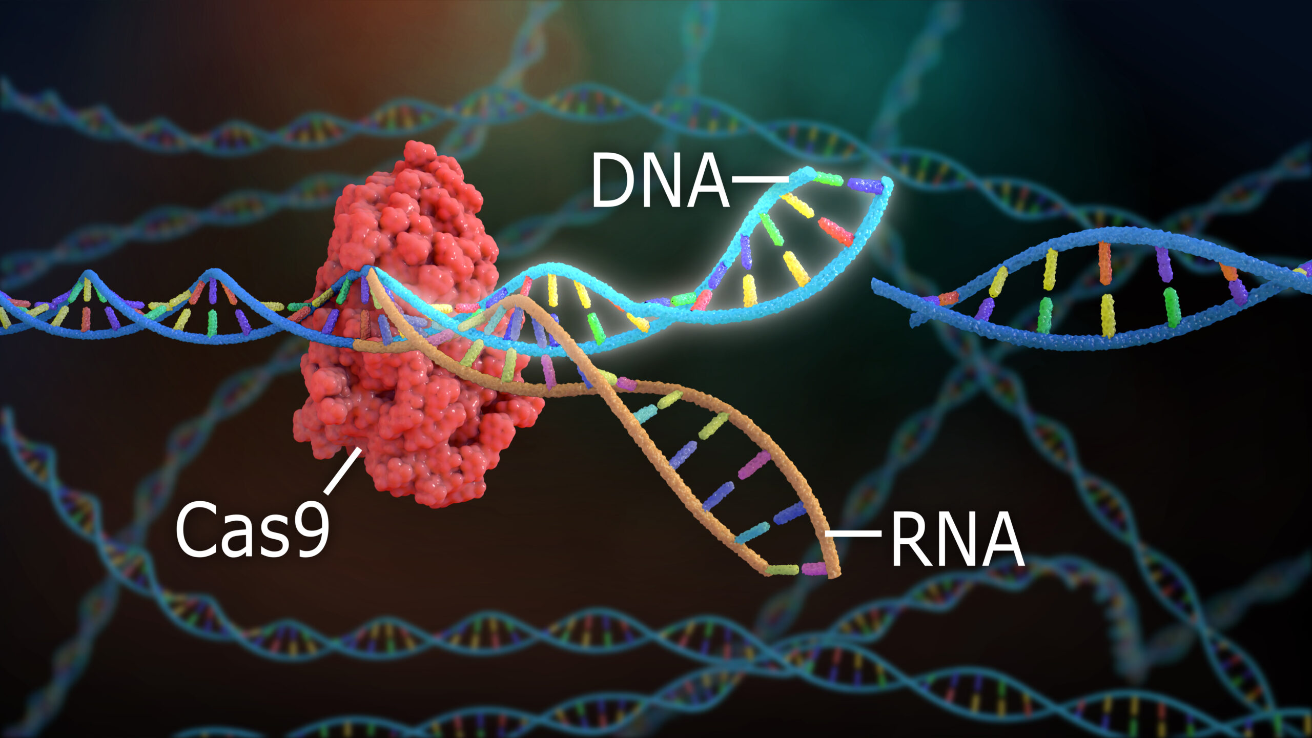 https://uploadkon.ir/uploads/0aa025_26CRISPR-scaled-1.jpg