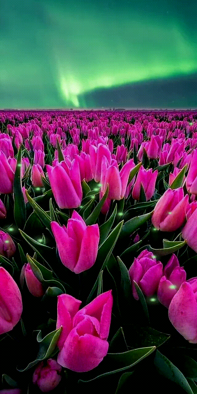 0ef214_251387b593f7aa69867cb39c2f3140c44c.gif