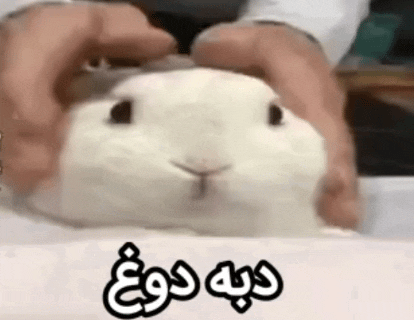 114127_26InShot-20260724-085349013.gif