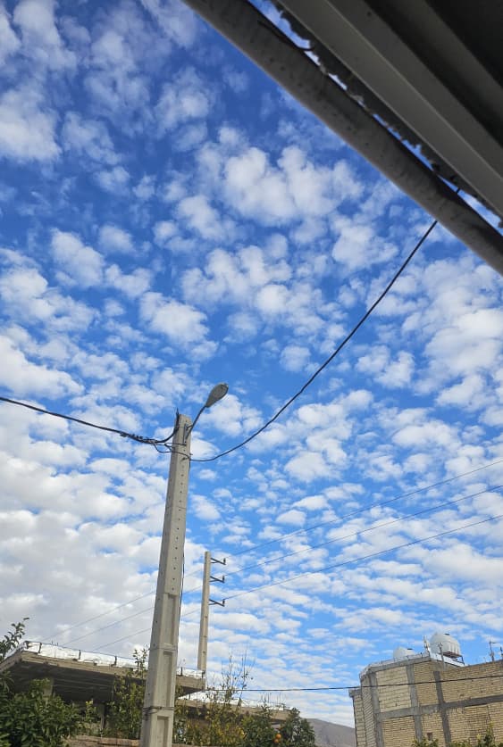163705_26IMG-۲۰۲۶۰۱۰۴-۱۳۲۹۳۸.jpg