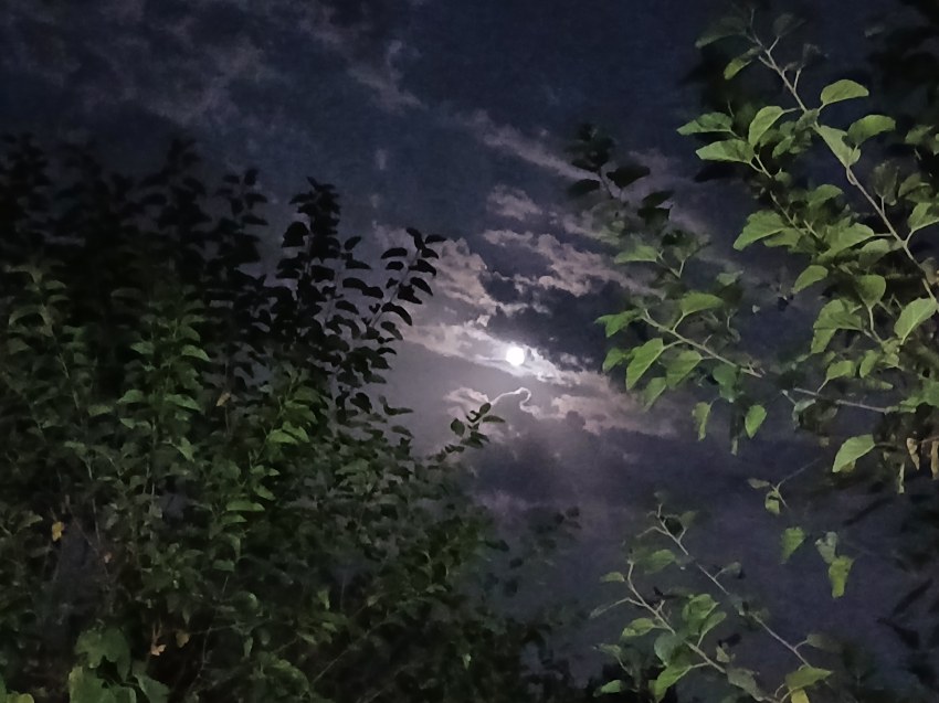 ماه