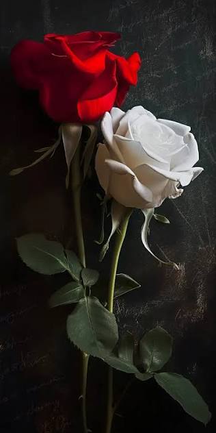 ...... حال من ......