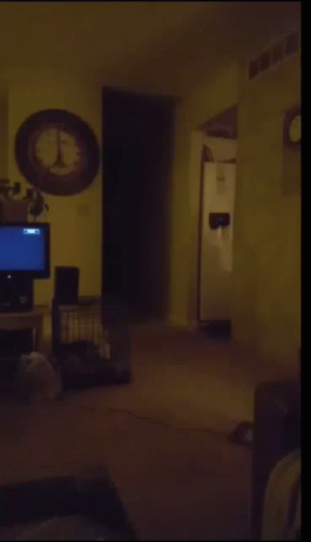 1da004_25rabbit-gif-8-.gif