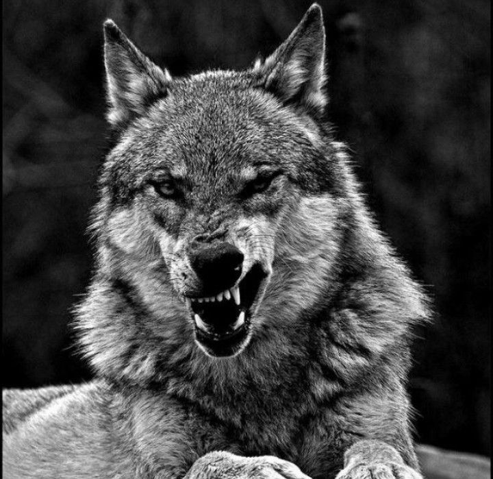 1fb608_26042f282616fffb018da976899dd0388