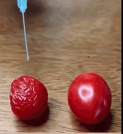 مرکز ژل و بوتاکس چیتگر