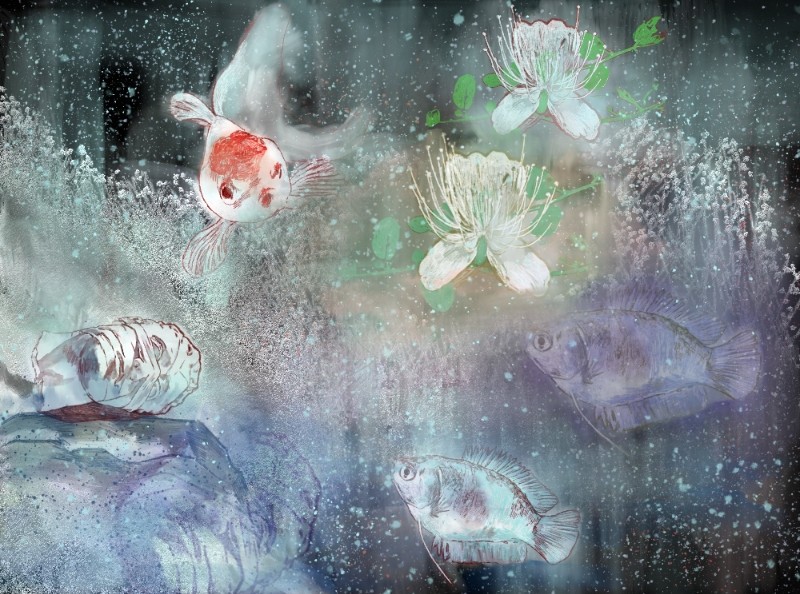 ماهی، مجسمه و گل گیاه کور