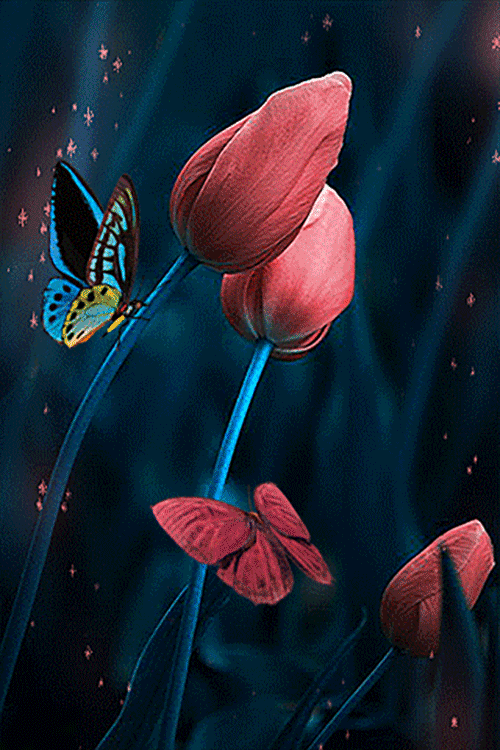 257629_25fd6cbc93-5b62-4e95-a19c-d8c7478a27e7.gif