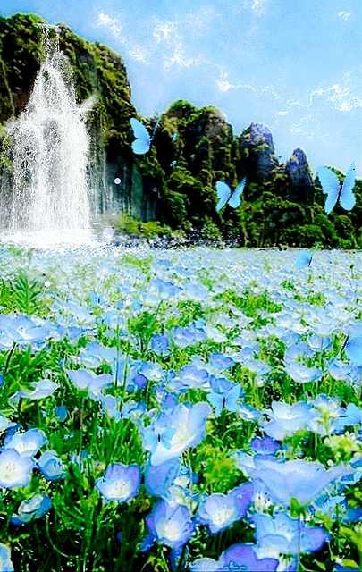 26d226_25fde585525163d040fe89f3282008f668.gif
