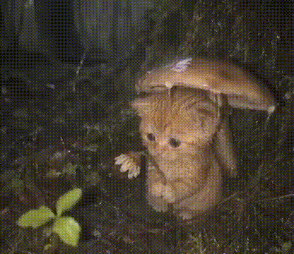 290822_26Sad.gif