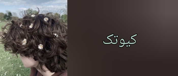 گربه ها چطوری به وجود میان