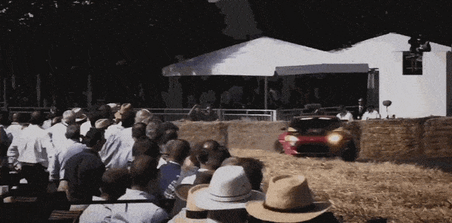 373715_251000053023-gif.gif