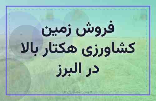 خرید زمین کشاورزی هکتار بالا در البرز