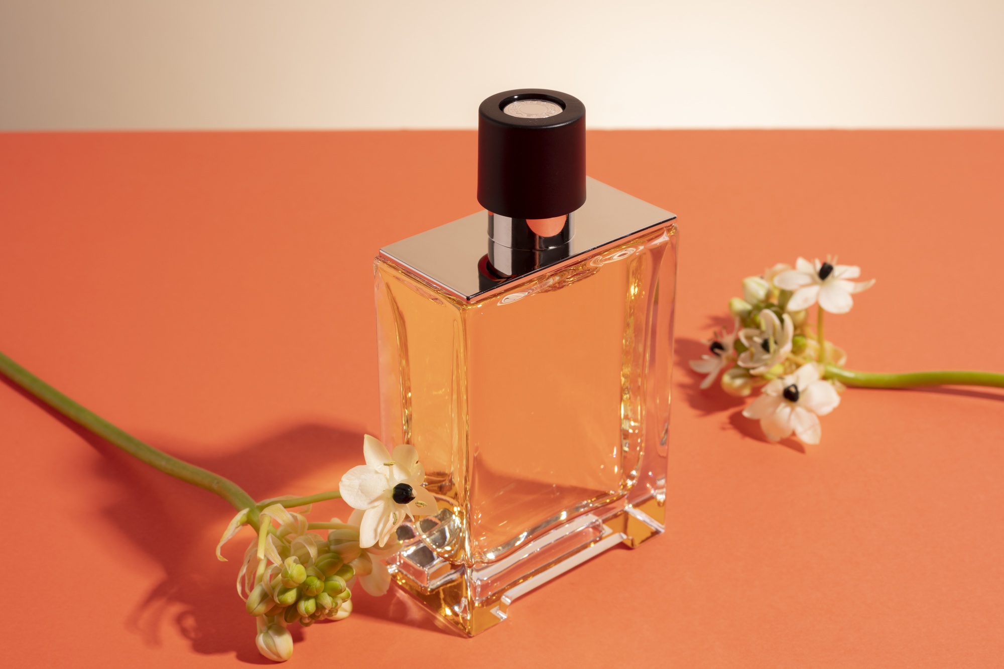 خرید عطر شنل مردانه از عطر19