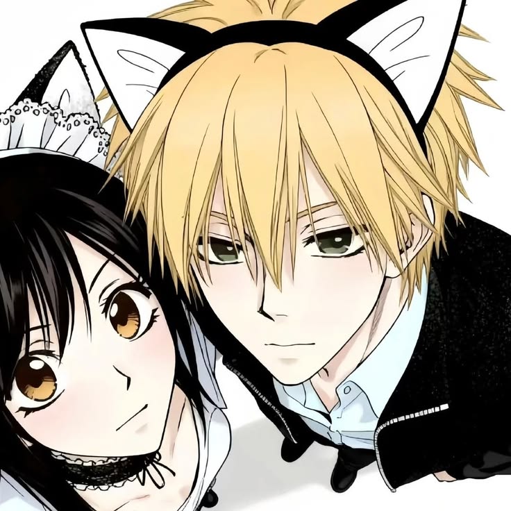 Myow Blog