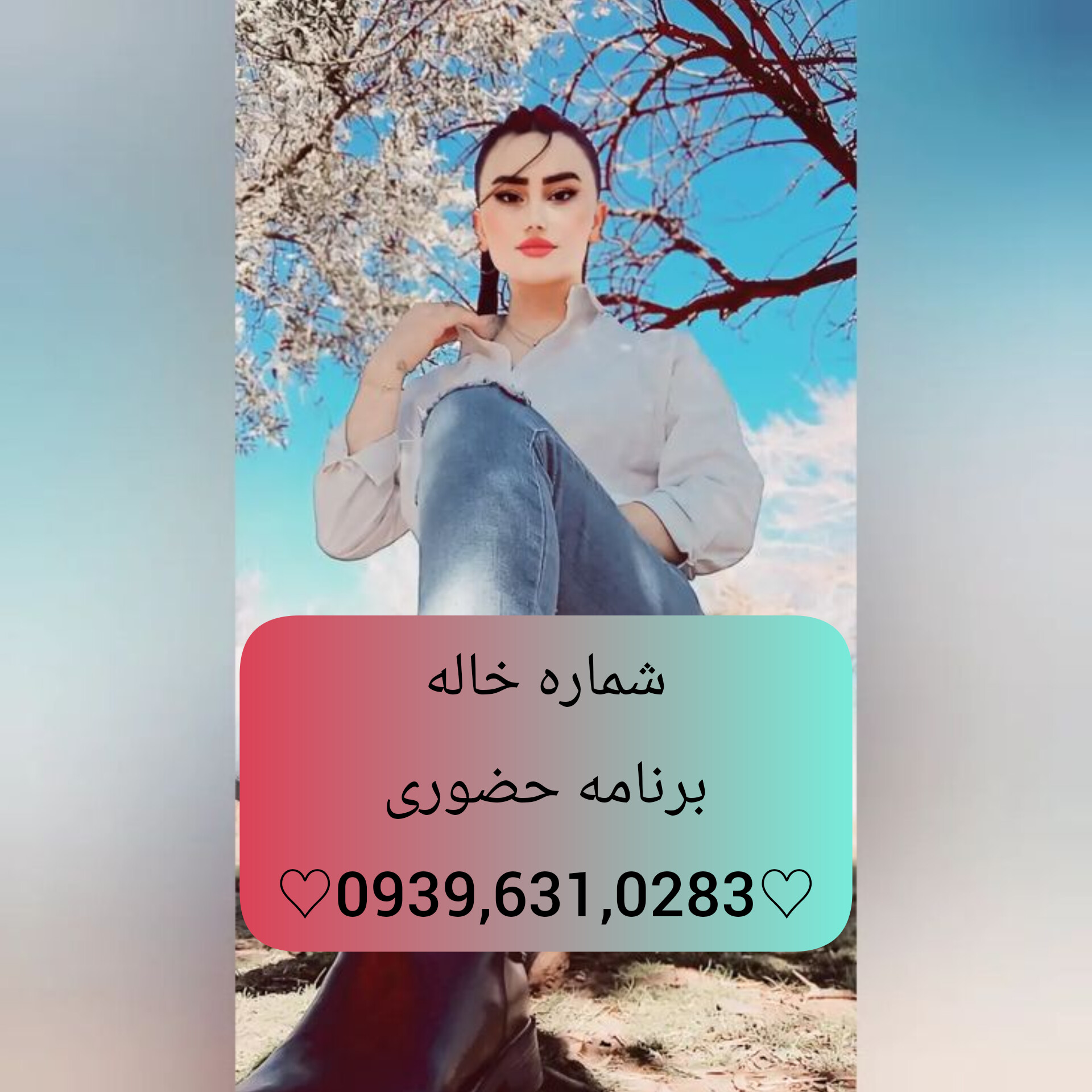 شماره خاله کلاچای