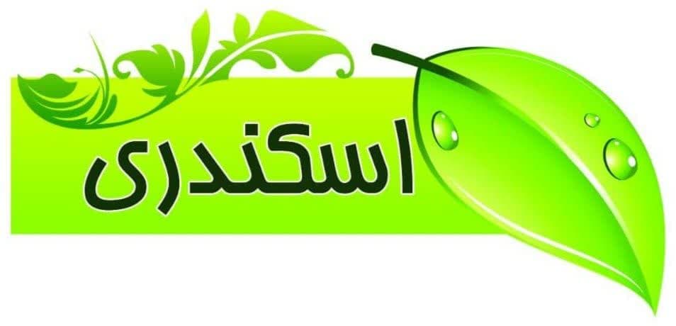 حکیم اسکندری