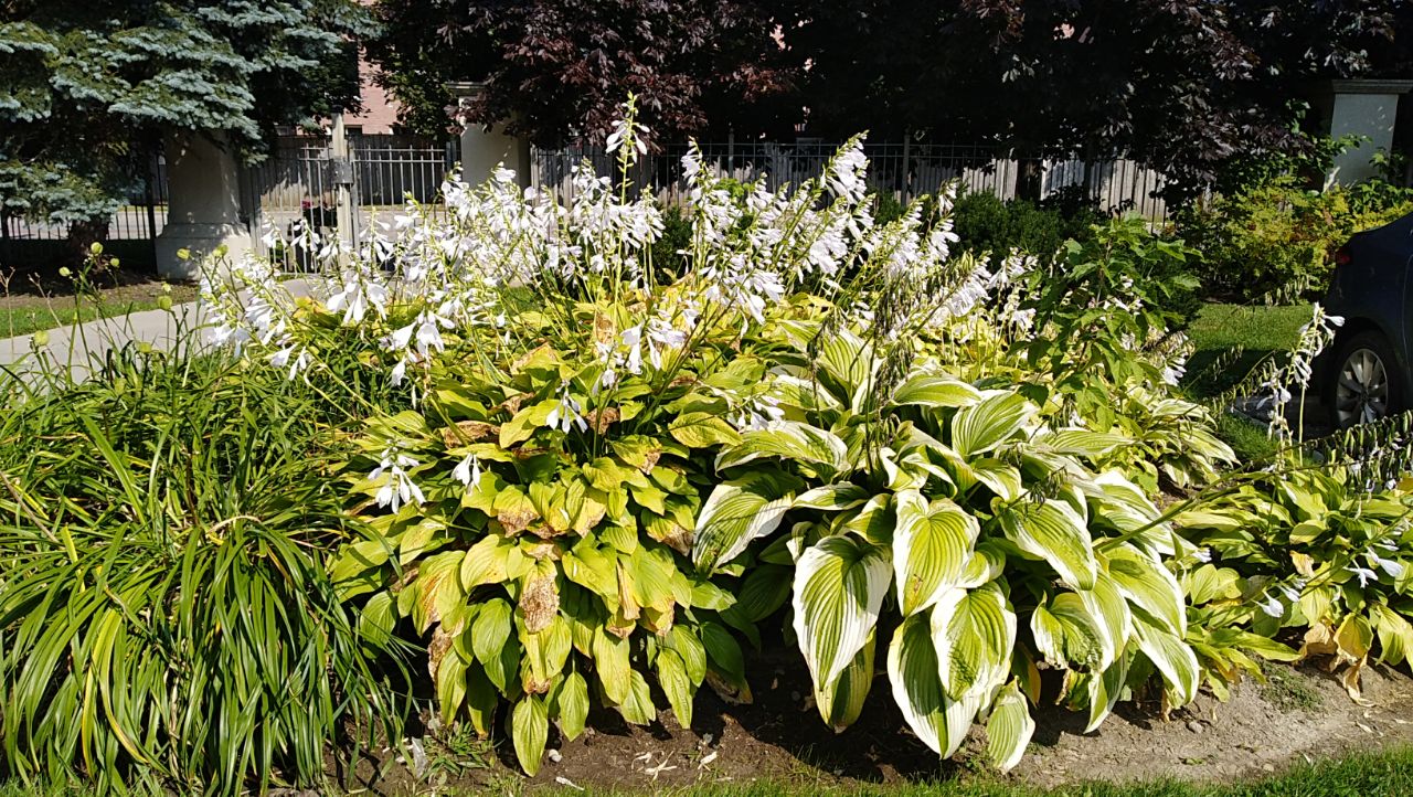 عکسهائی که خودمان گرفته ایم 