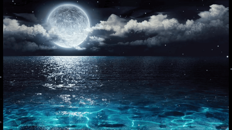 466c29_25GIF-20250829-234122-156.gif