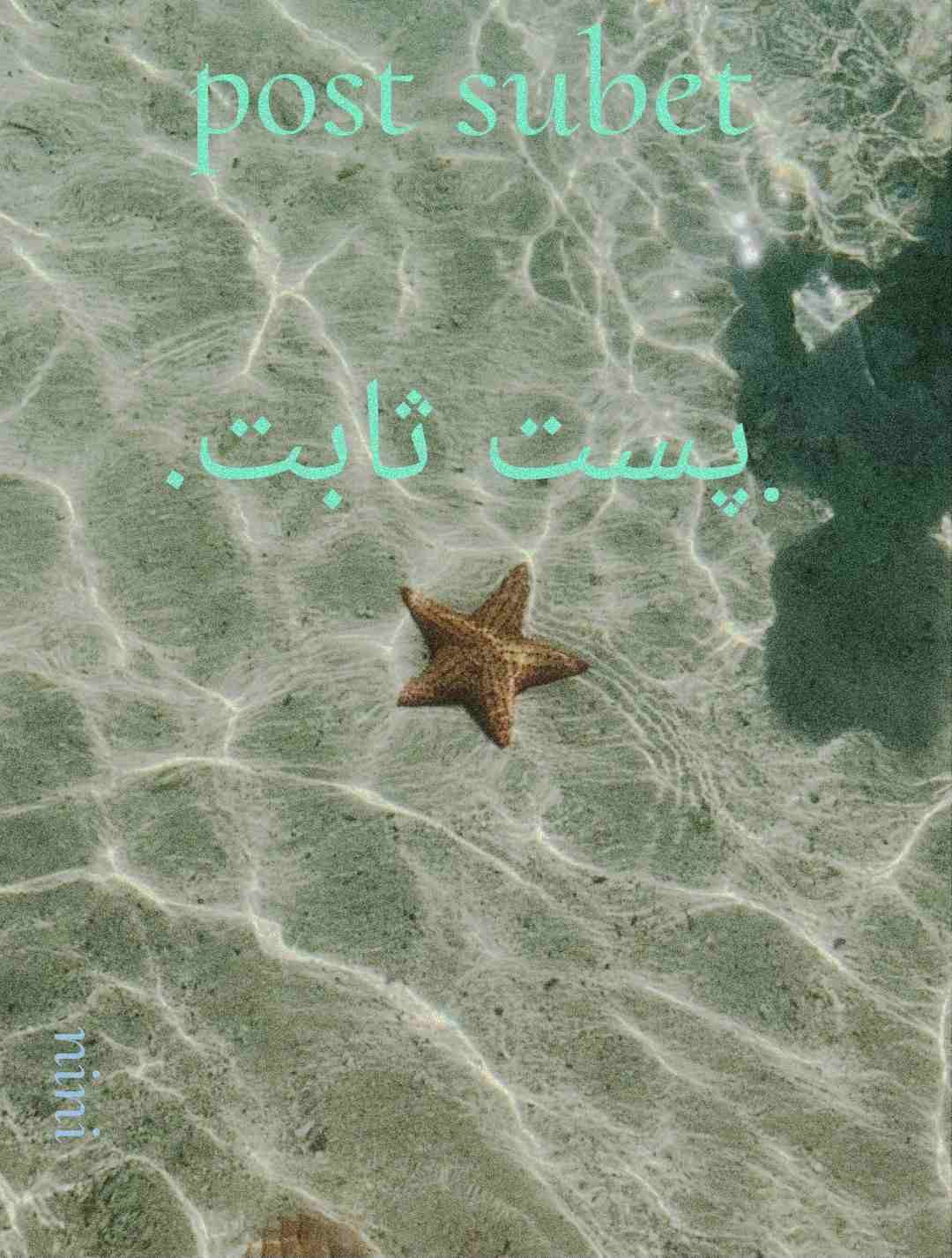 کاور اماده🐢💚