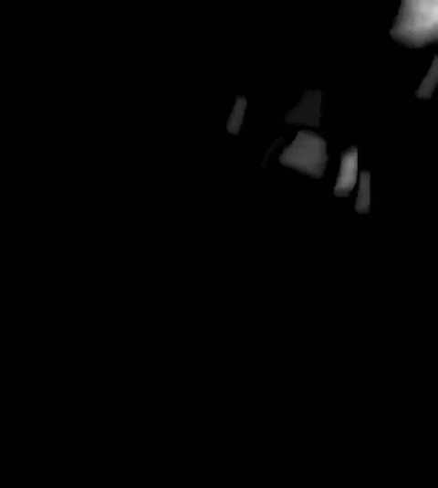 47ce21_26InShot-20260711-195139947.gif