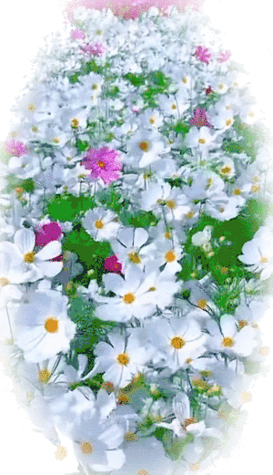 48d829_25f7264719543a0735ccb42fd7de4fedc9.gif