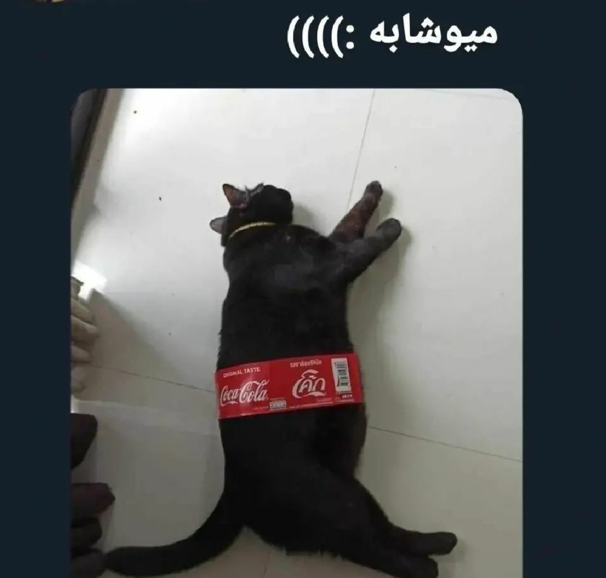 میوشابه:)