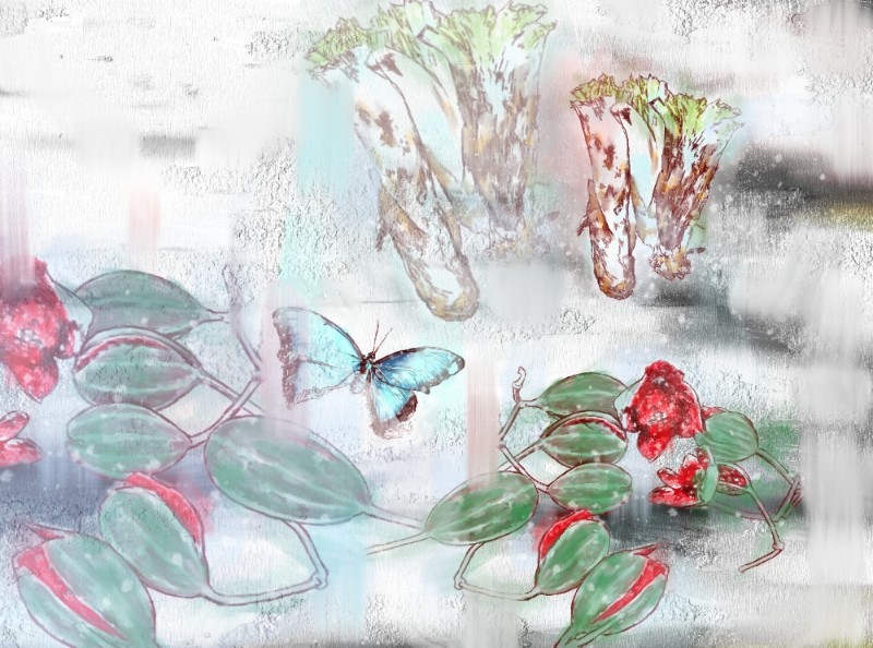 کنگر، گیاه کور و پروانه