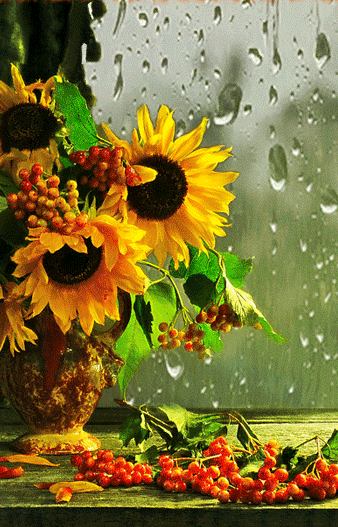 4bfd27_25e18452d5-5202-4d63-8114-24909488b1ba.gif