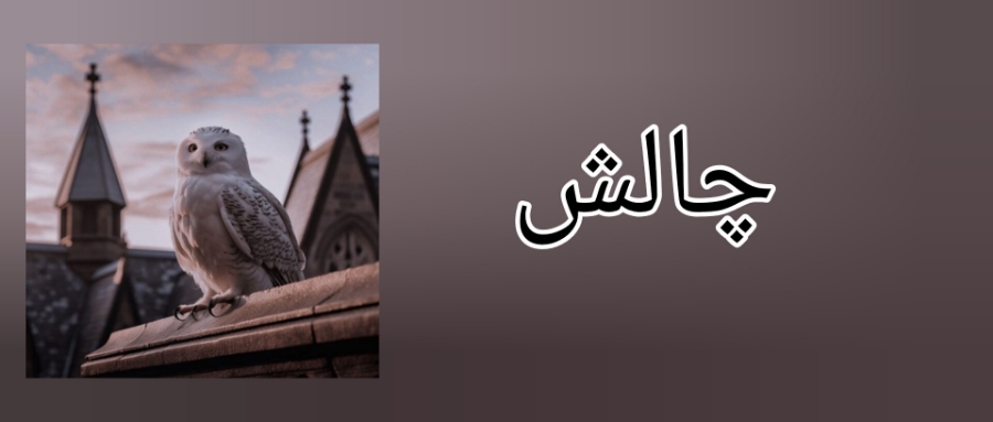 فقط من انجامش میدم..