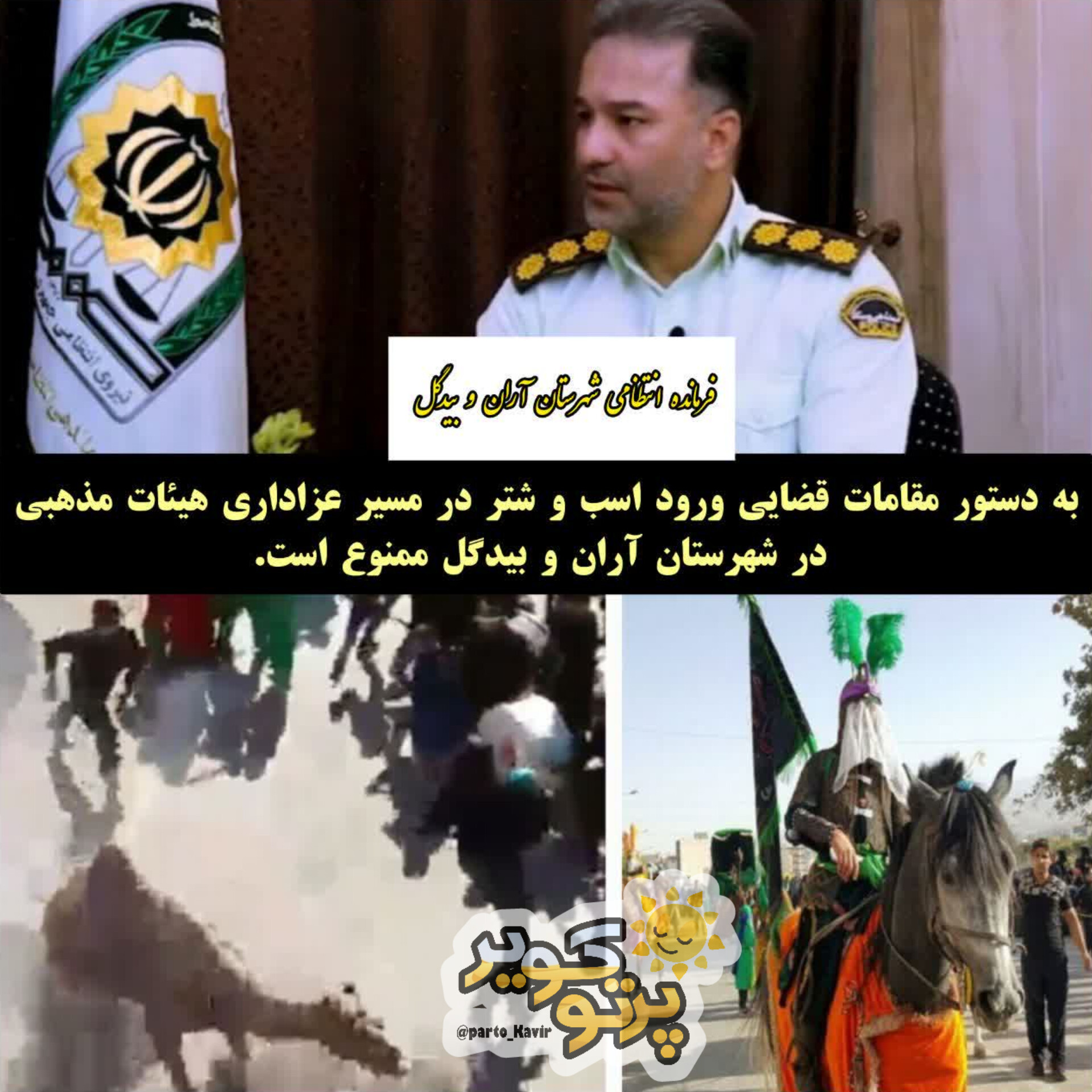 شتر و اسب