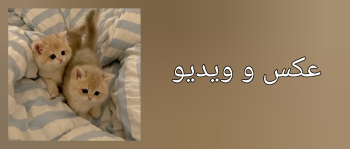 اتفاقات روزمره که ممکنه دلیلش رو ندونی...
