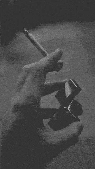 5c1f14_251000052950-gif.gif