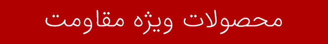 طوفان الاقصی
