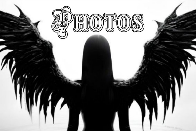 Photos