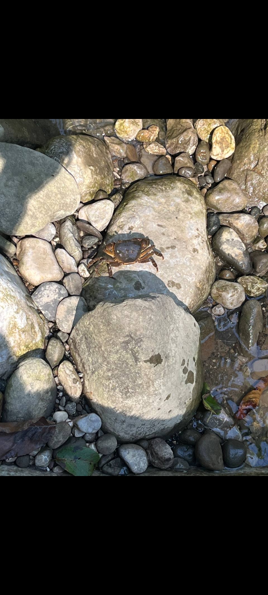 6b6327_26Screenshot-%DB%B2%DB%B0%DB%B2%D