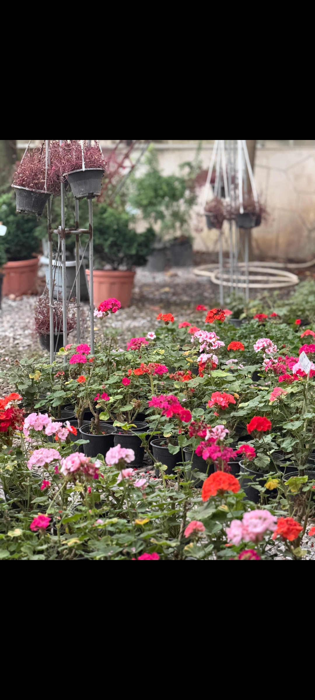 6c5127_26Screenshot-%DB%B2%DB%B0%DB%B2%D