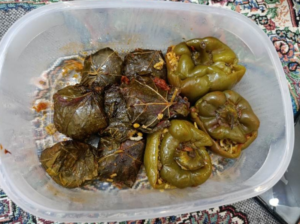 6cf009_26IMG-۲۰۲۶۰۸۱۰-۰۲۴۰۱۵.jpg