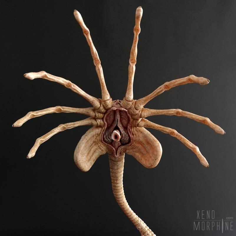 70b627_25wm-HCG-Facehugger-9-83d9aebb4d.jpg