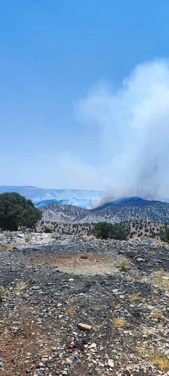 پروژه های کمک به طبیعت در ایلام