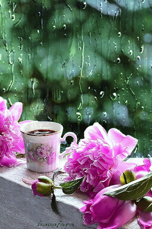 758a27_25c0b24a4f-cfe9-429c-af6f-ee353a7fdfe4.gif