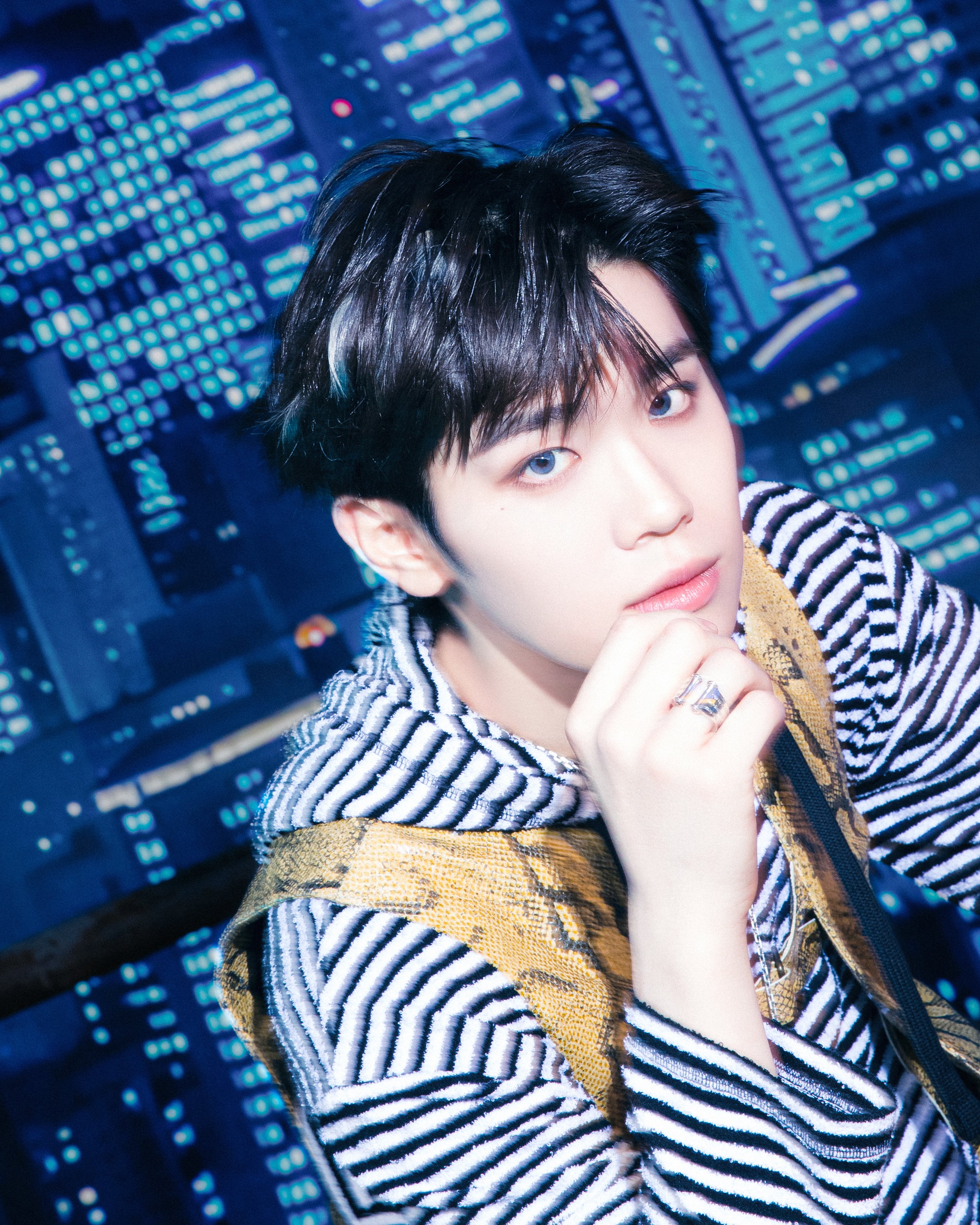 زیروبیسوان