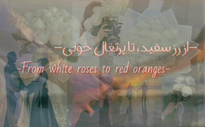 𝑭𝒓𝒐𝒎 𝒘𝒉𝒊𝒕𝒆 𝒓𝒐𝒔𝒆𝒔 𝒕𝒐 𝒓𝒆𝒅 𝒐𝒓𝒂𝒏𝒈𝒆𝒔²