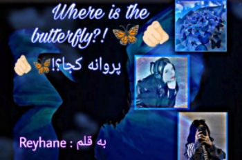 پروانه کجا ؟!🦋🫵🏻