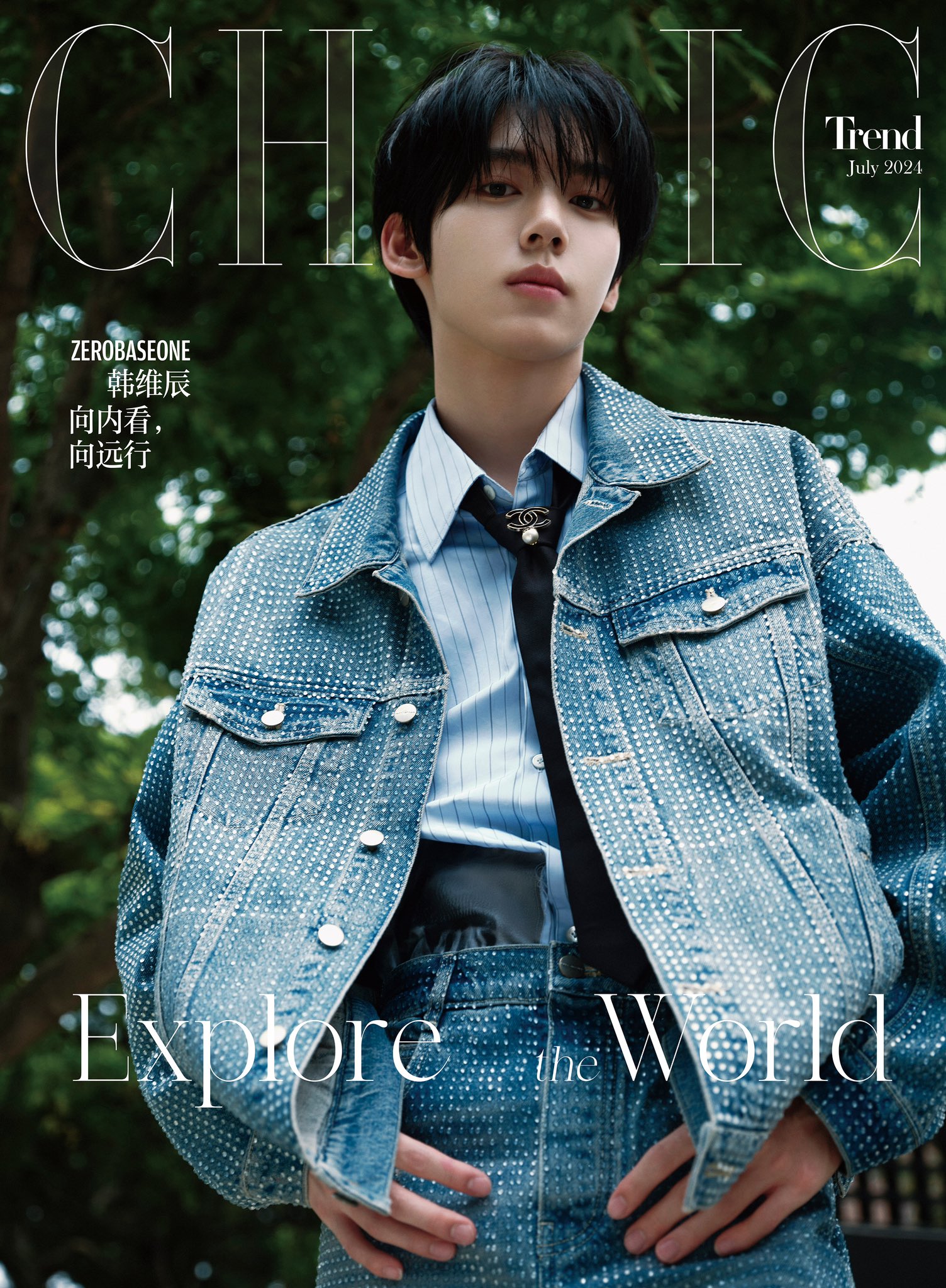 زیروبیسوان